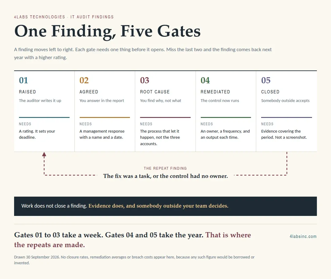 One Finding, Five Gates.webp